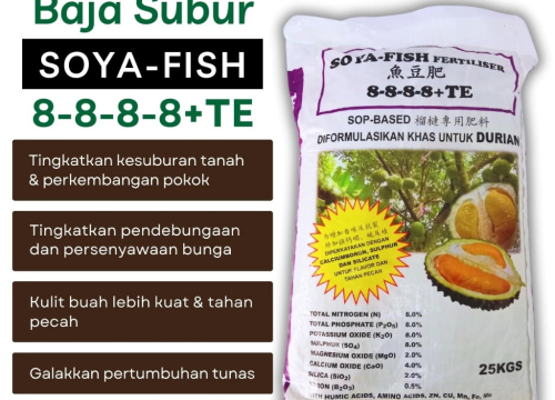 SOYA FISH 8-8-8-8 SOYA FISH 8-8-8-8